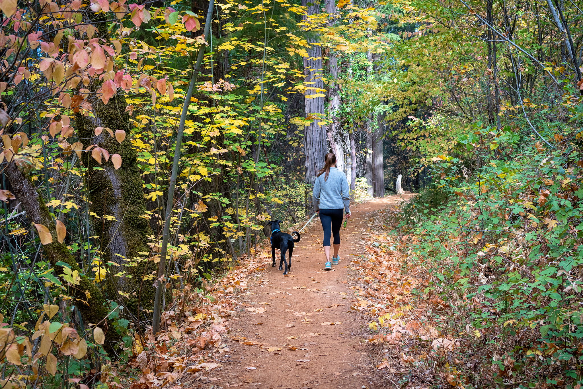 Full Suspension Ahead | Weekend Sherpa