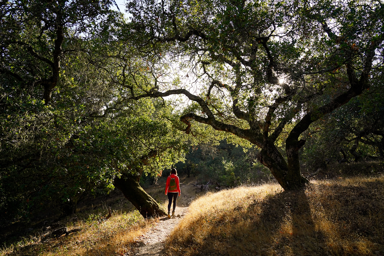 Hike Olompali State Historic Park in Marin 