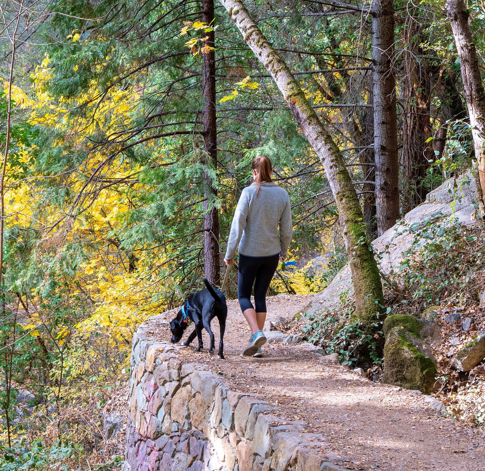 Full Suspension Ahead | Weekend Sherpa