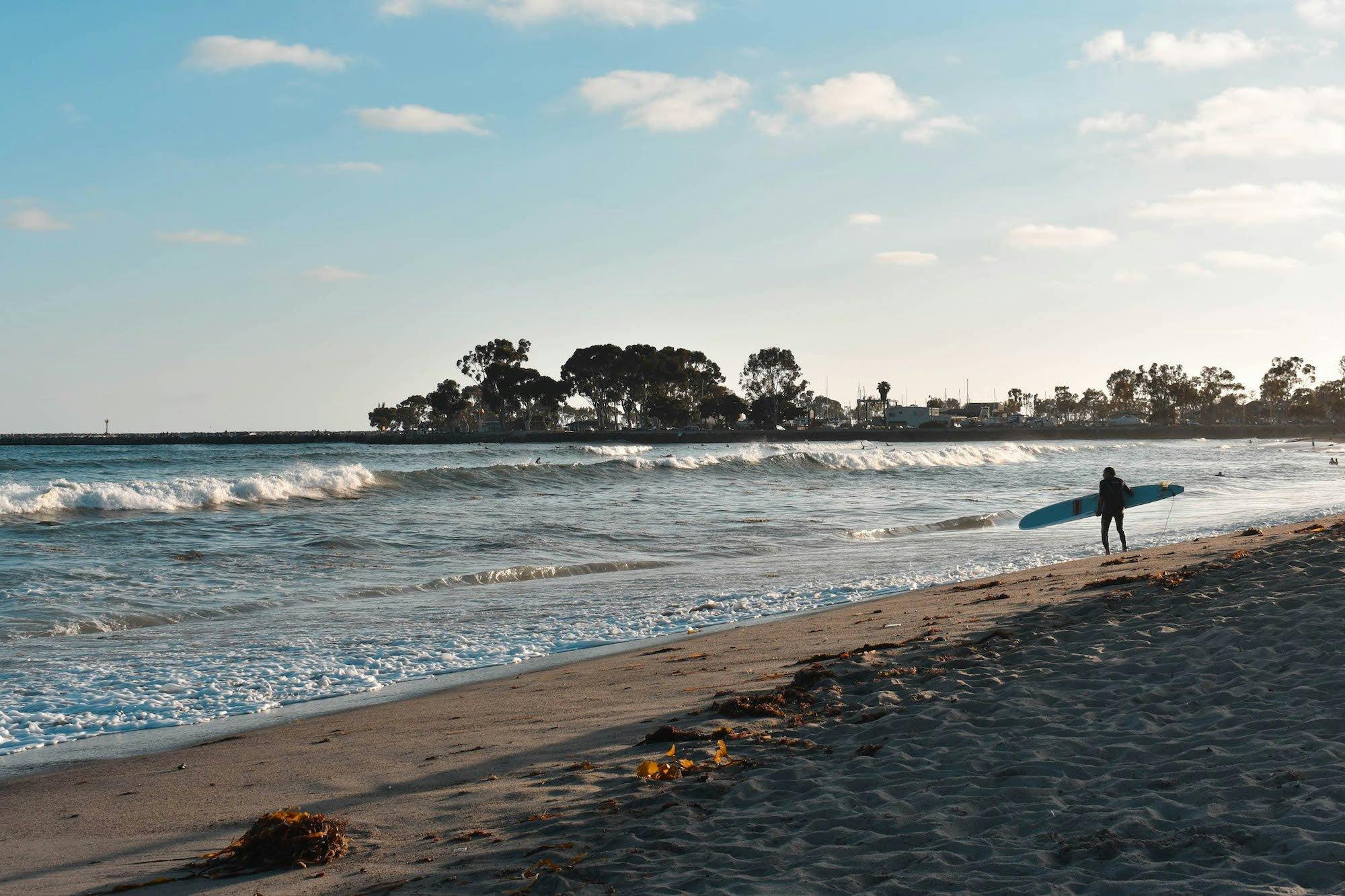 is doheny beach dog friendly