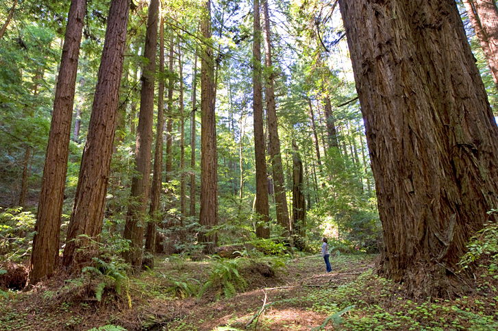 POST hiking calendar