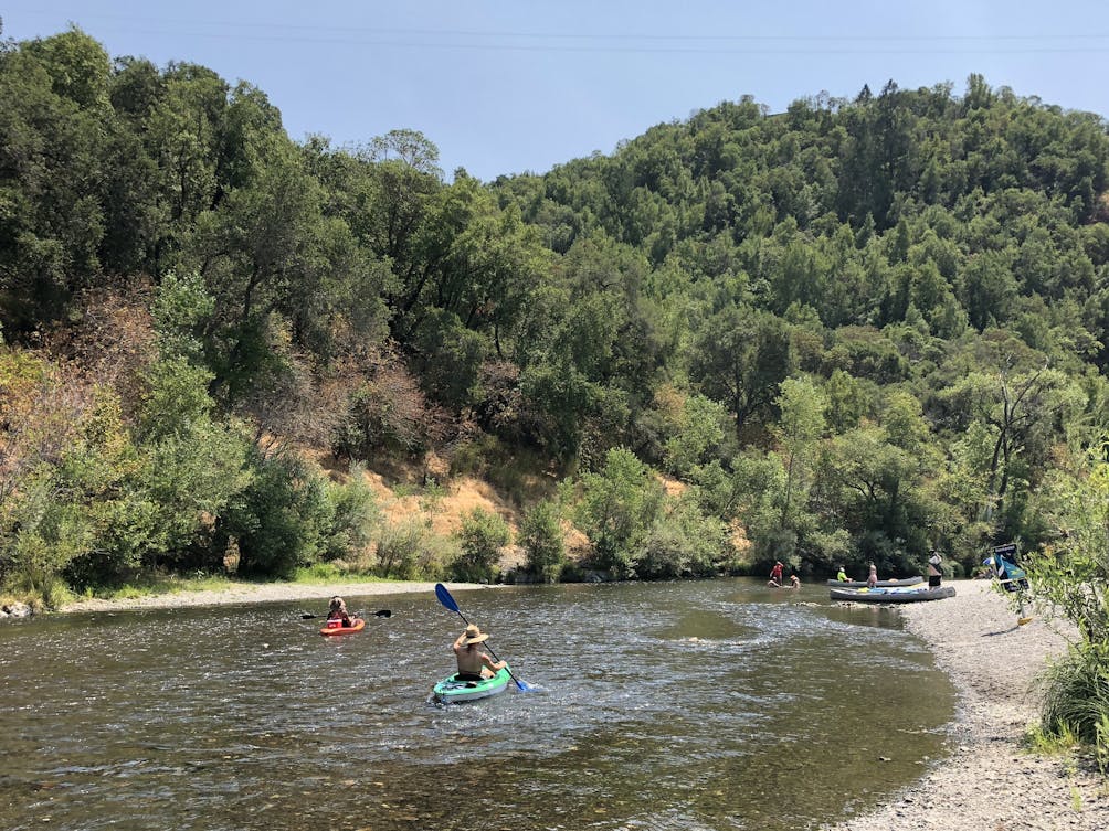 Kayakers on the Russian River near Healdsburg in Sonoma County 