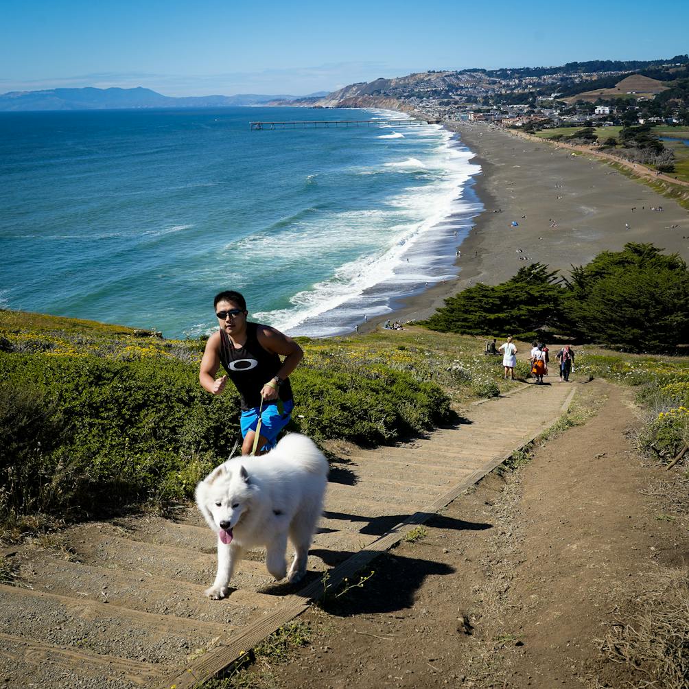 Best San Francisco Hikes (That Are Also Dog Friendly)