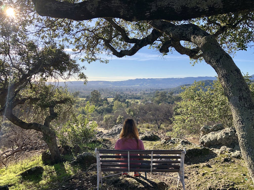 Hiking at Bartholomew Park Winery in Sonoma 