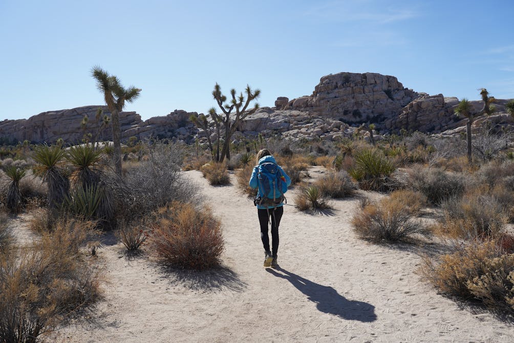 joshua tree west entrance hikes