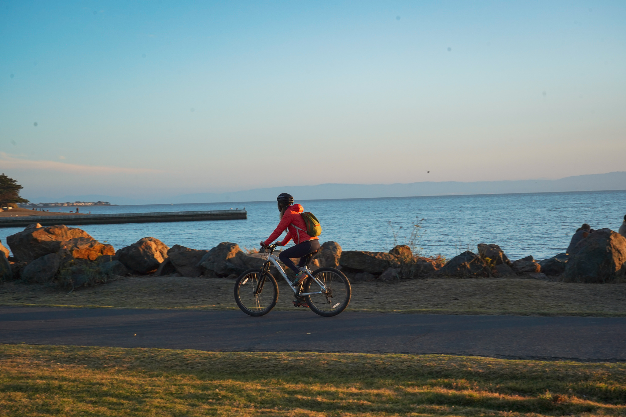 Biking to Breweries in Alameda 