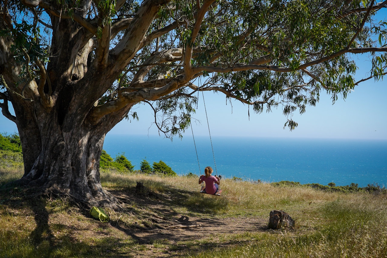 Mount Tam Dipsea Tree Swing Stinson Beach