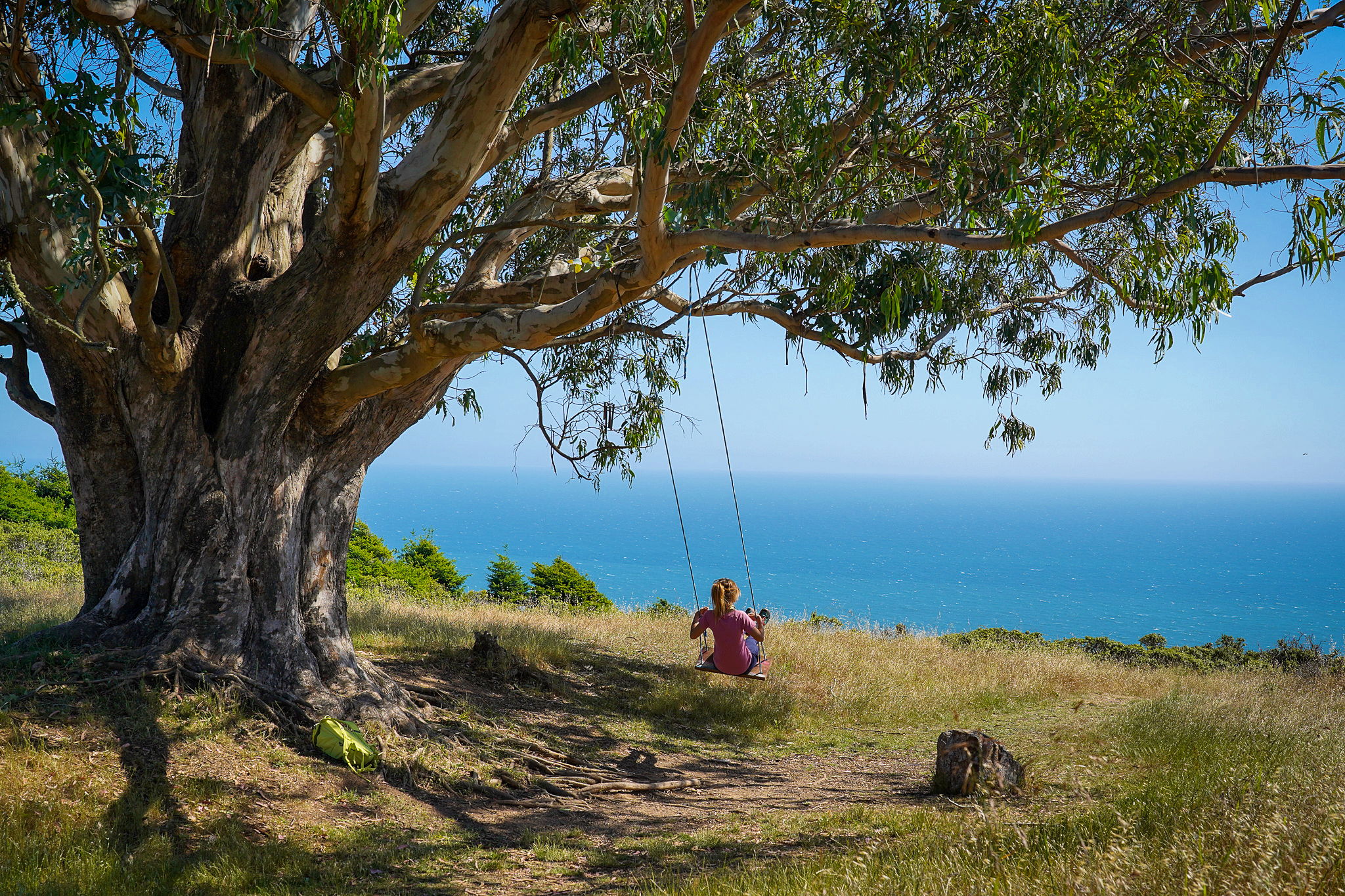 Woman on a tree swing overlooking the pacific 