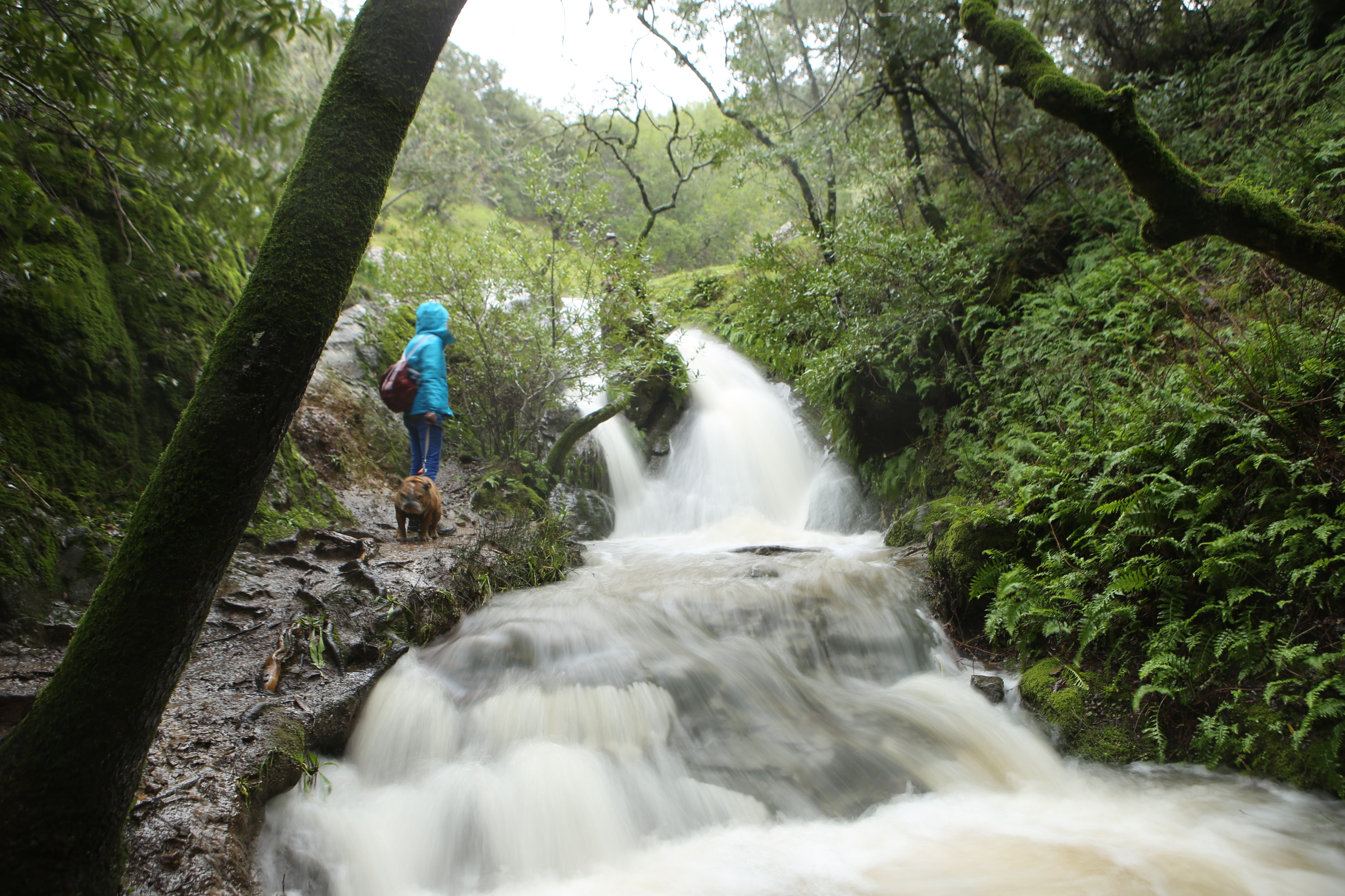 waterfall at Indian Valley Open Space in Marin
