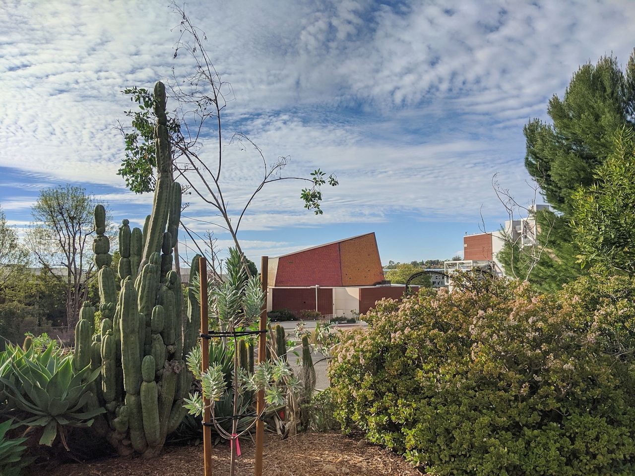 Hike Palomar College Arboretum