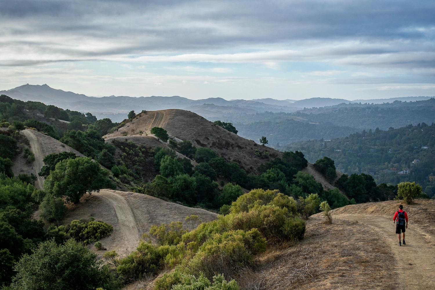 Briones Regional Park hike