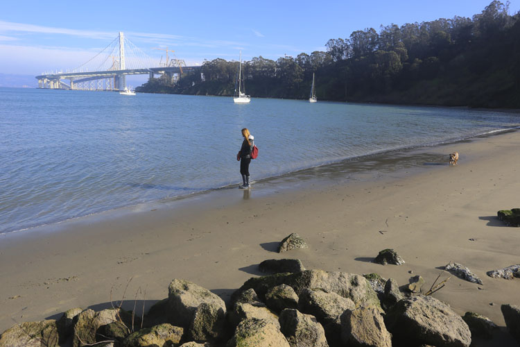 Treasure Island Clipper Cove Beach San Francisco Bay