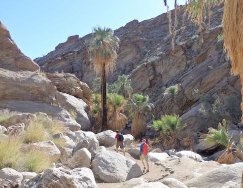 Wild Hikes in Palm Springs | Weekend Sherpa