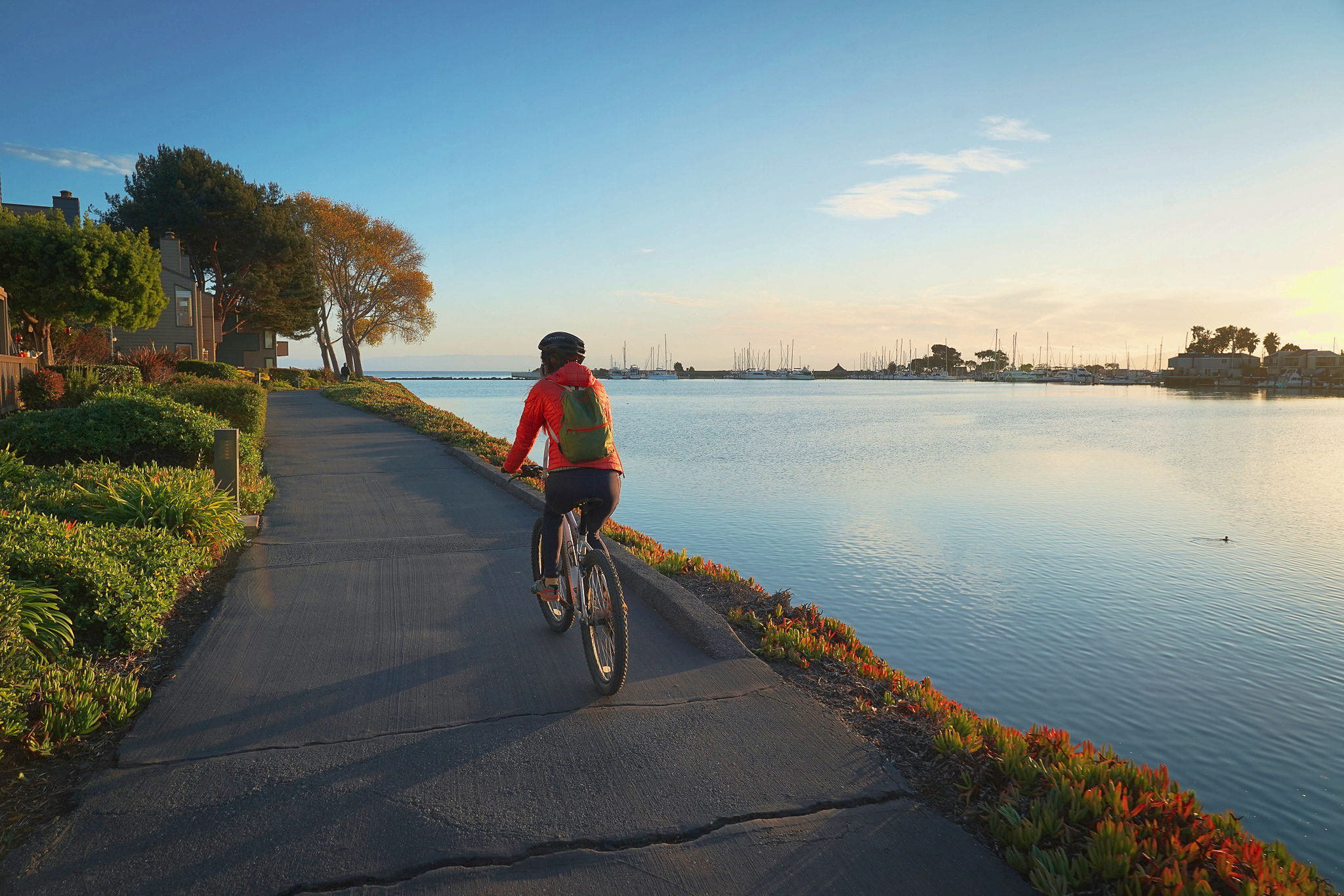 Biking in Alameda 