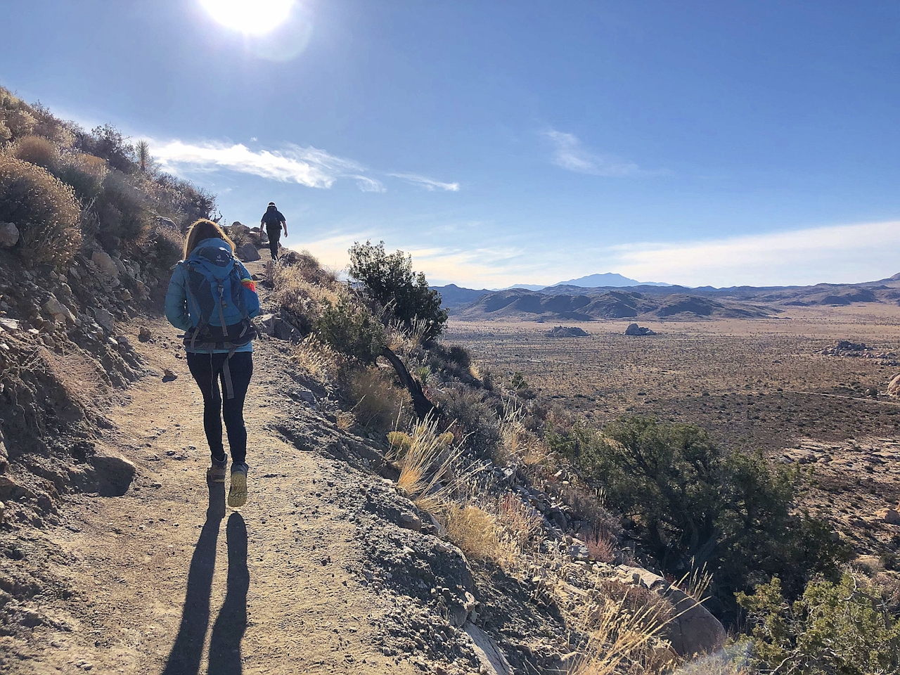 Hike Joshua Tree National Park 