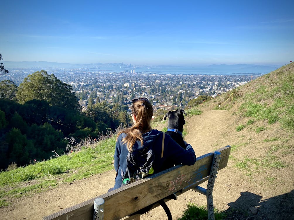 Woman sitting on a bench with her dog overlooking a view of the San Francisco Bay   