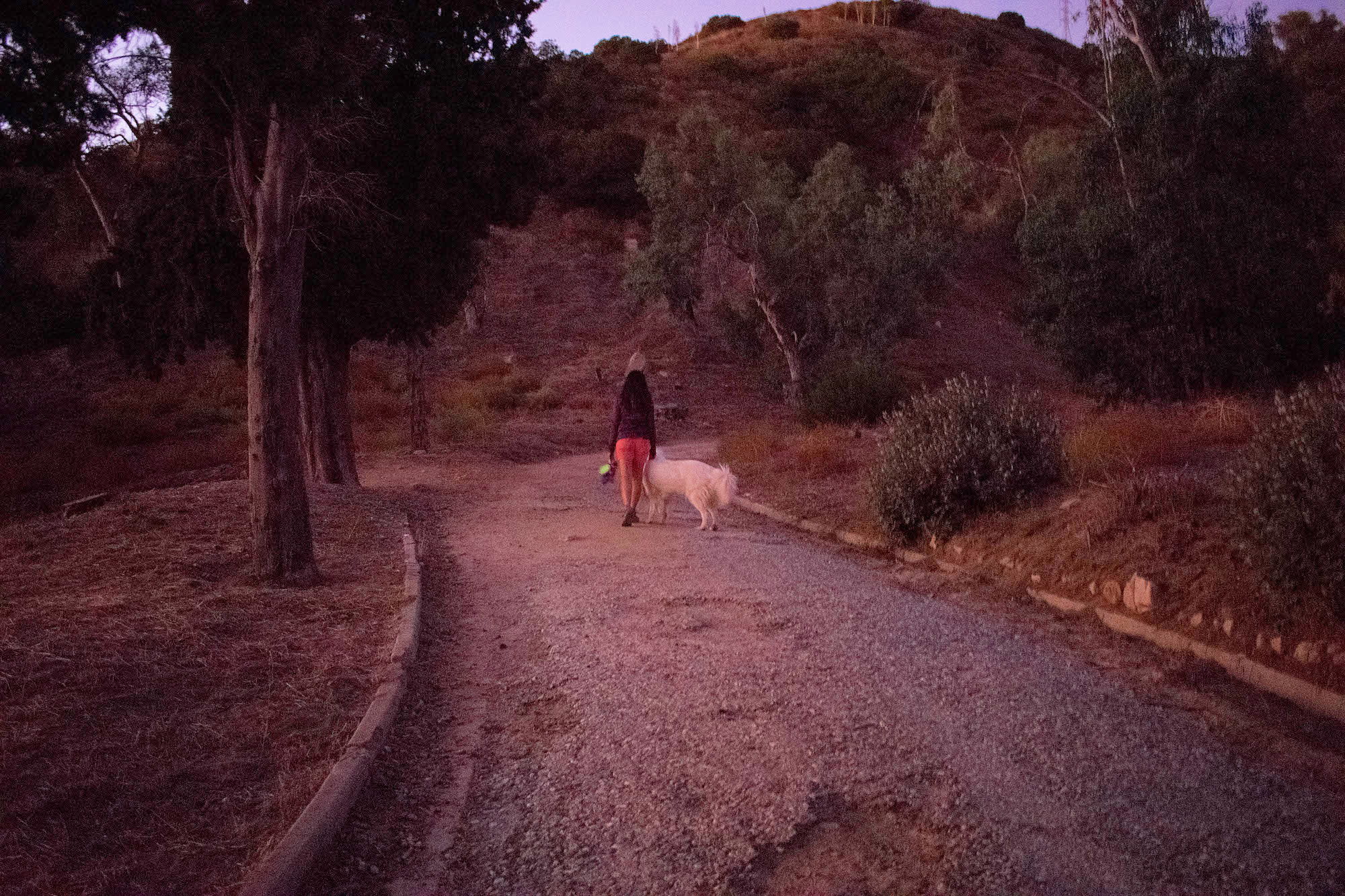 Hiking Cobb Estate Haunted Forest