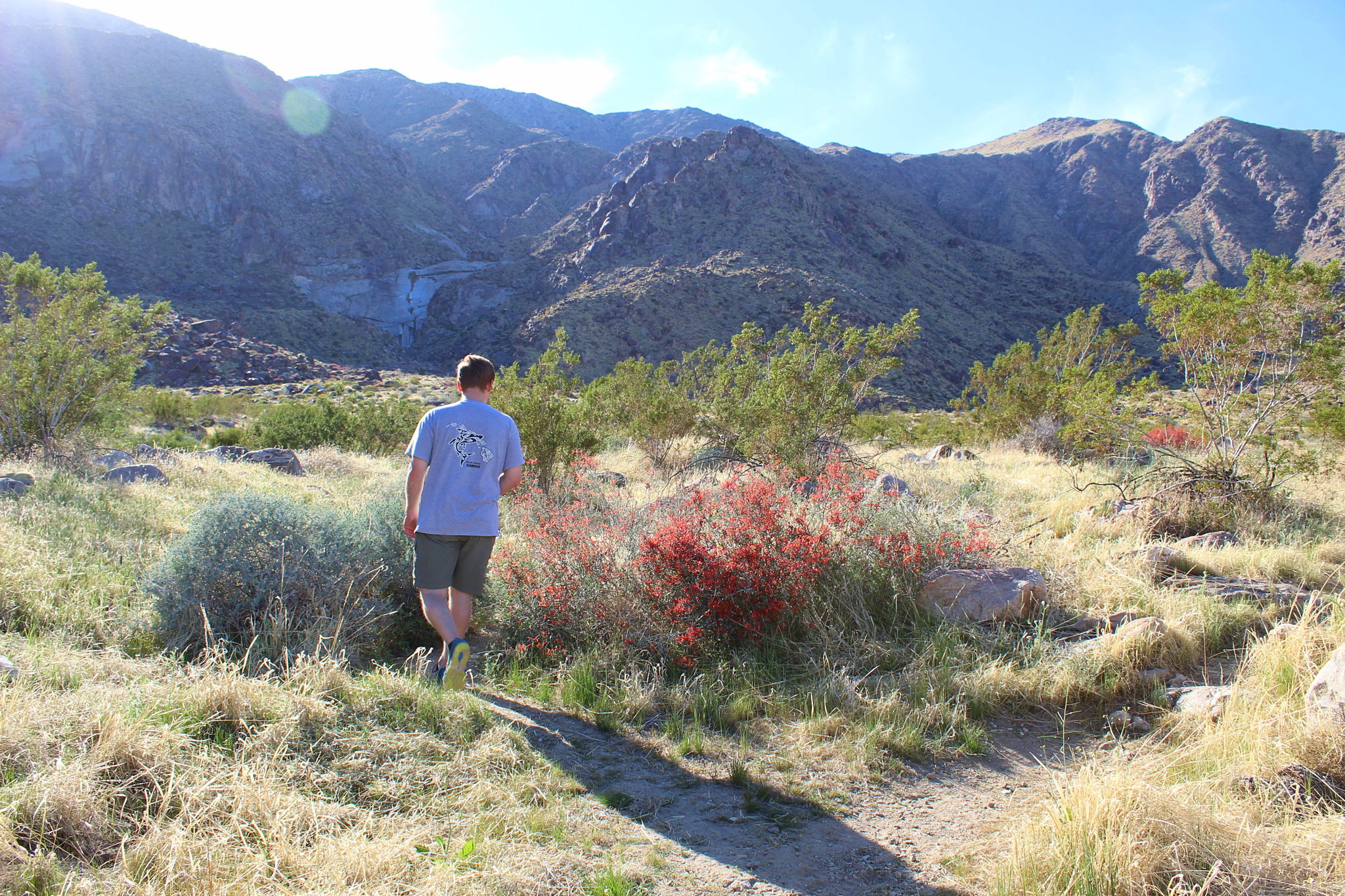 Hike Tachevah Canyon