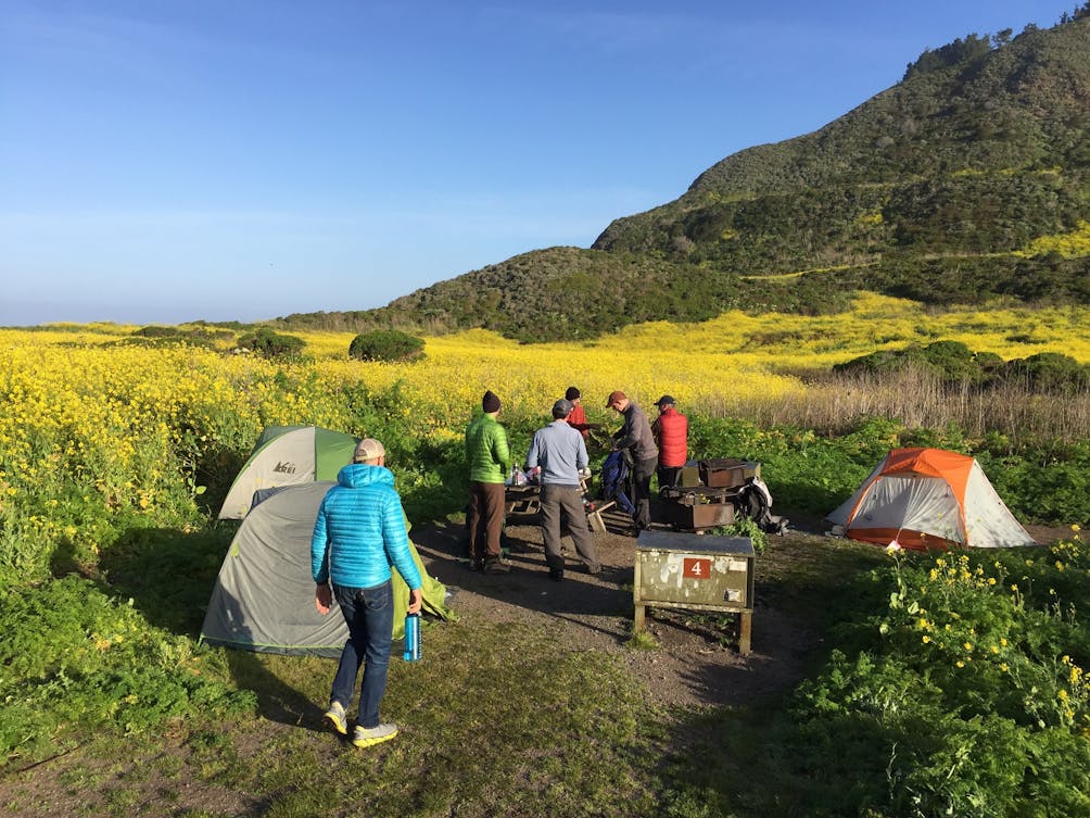 Friends set up a group camp with multiple tents at Wildcat Camp in Point Reyes National Seashore