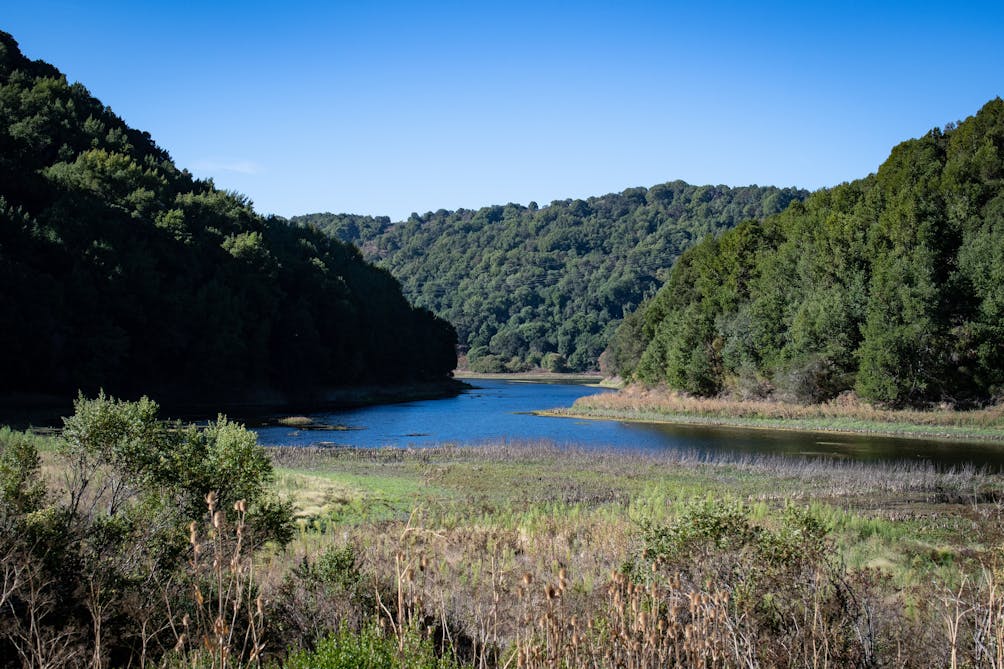 Kings canyon loop trail sale