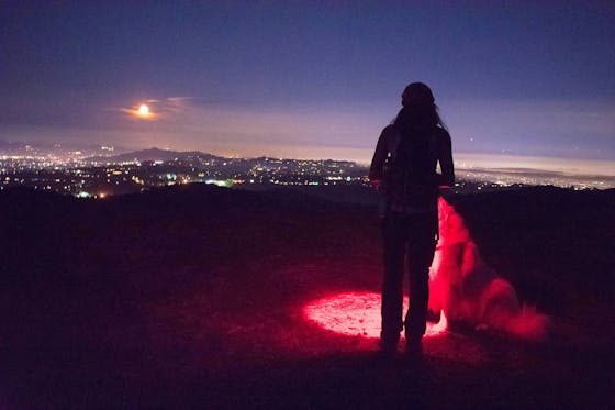 Dog friendly full moon hike Westridge Trail Brentwood
