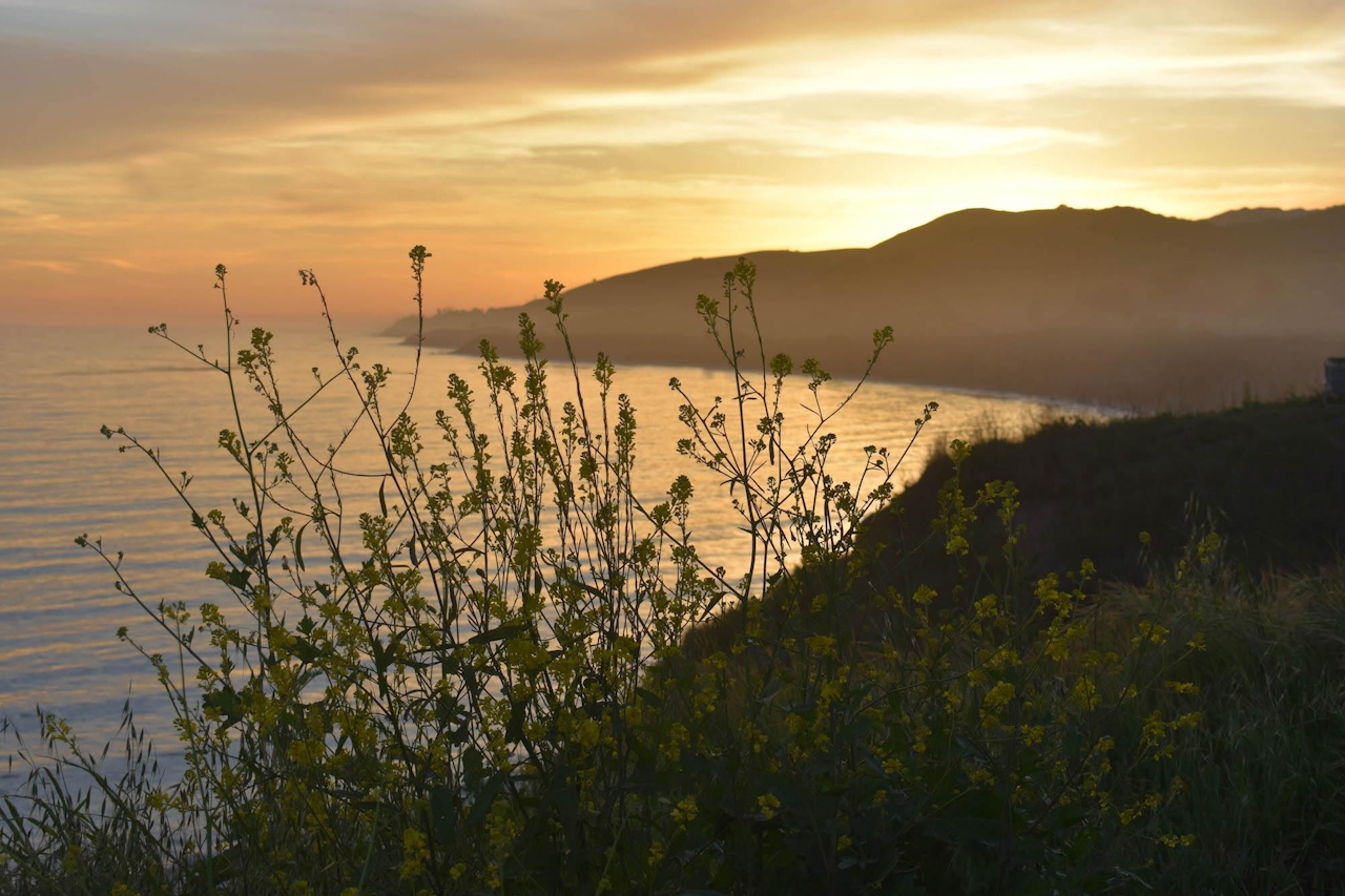 Sunset view from the bluff at El Capitan State Beach 