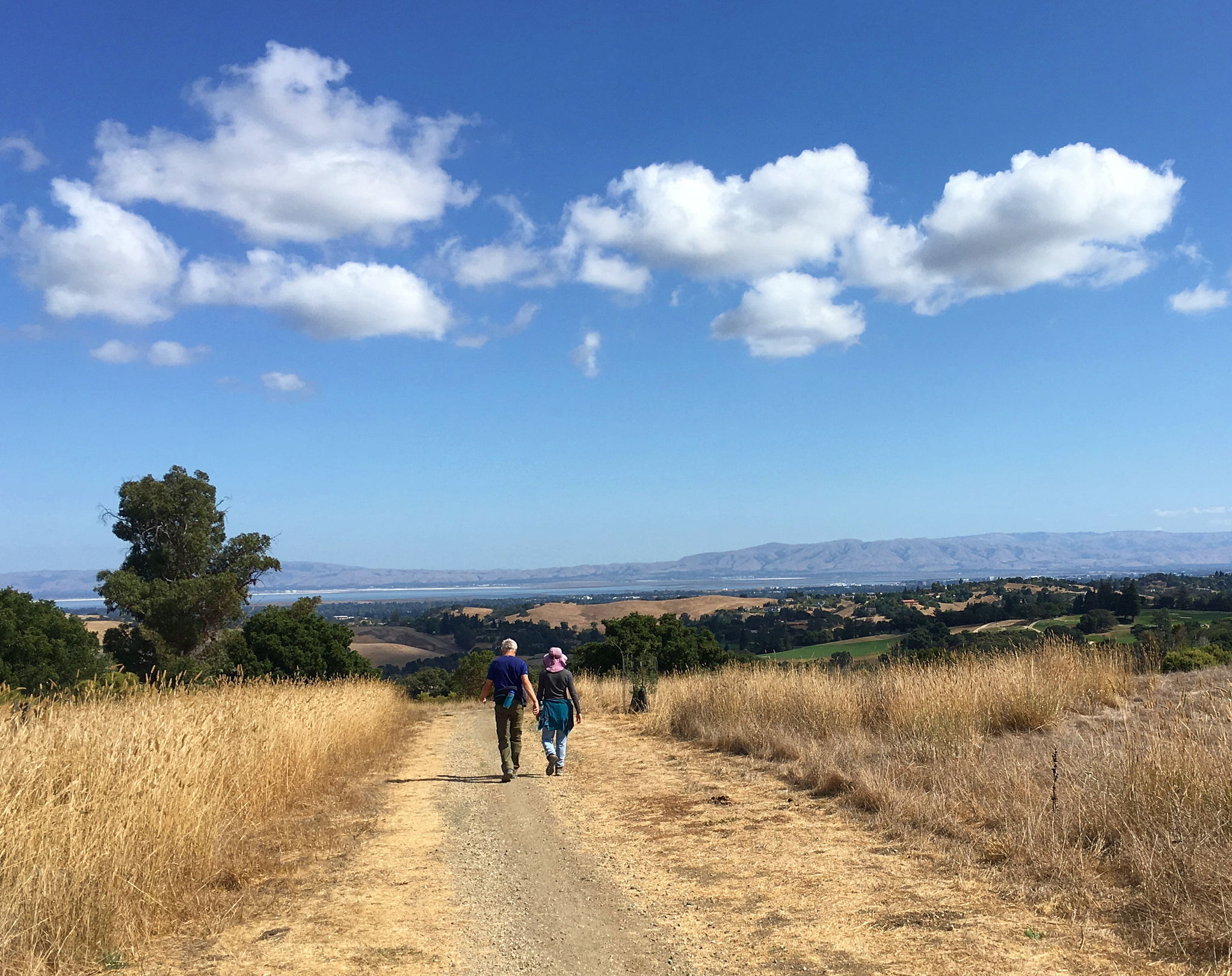 Pearson-Arastradero Preserve hike