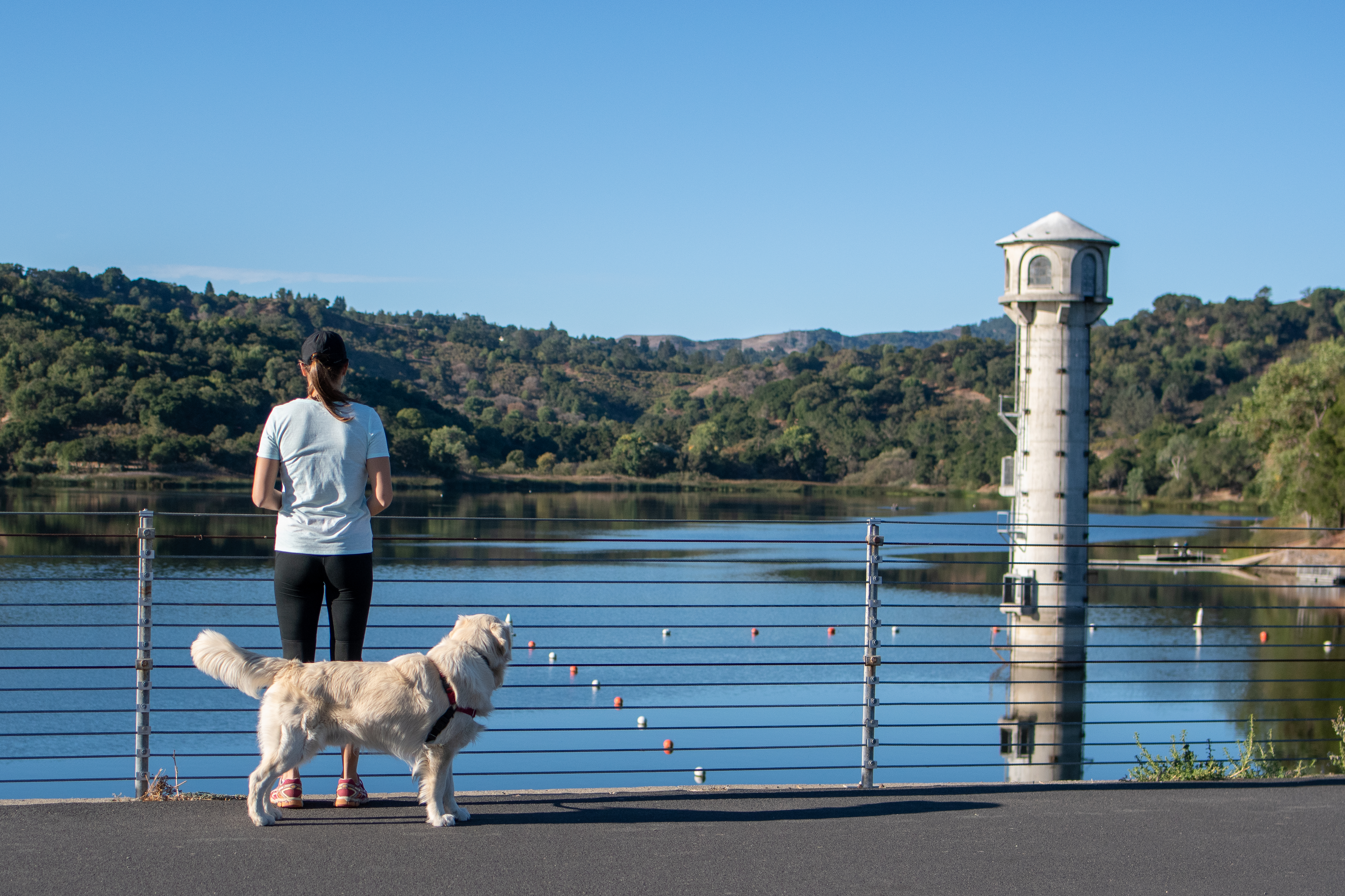 Hike Lafayette Reservoir in the East Bay 