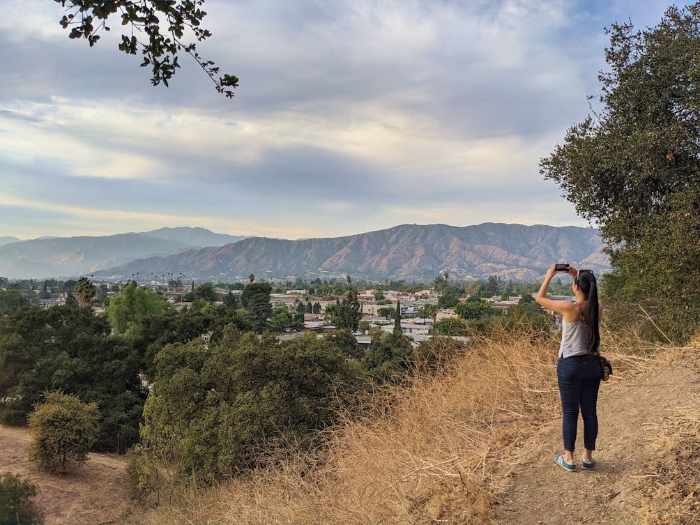 Big Tree Park And Historical Marker Glendora Ca