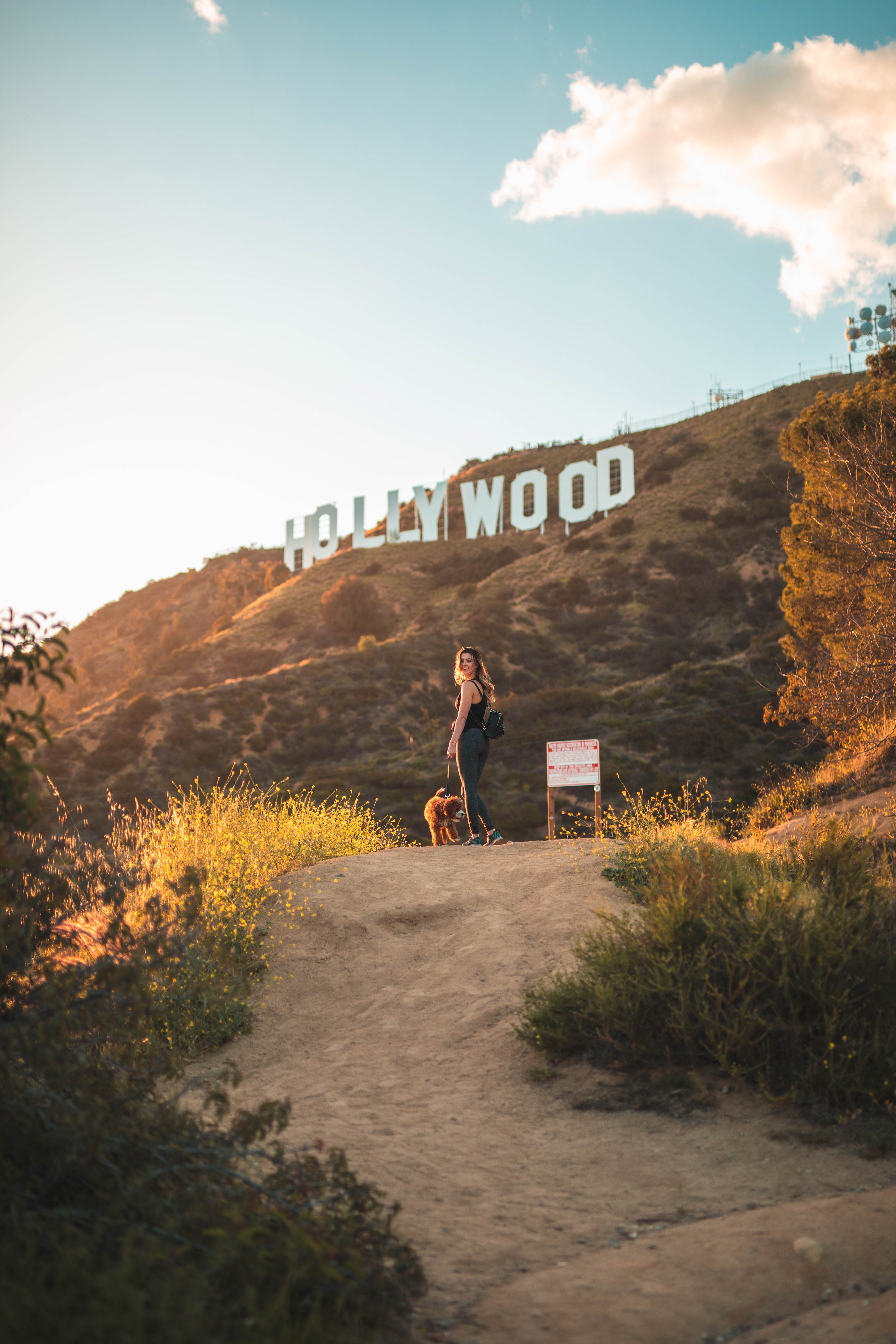 Hikes to Views of the Hollywood Sign 