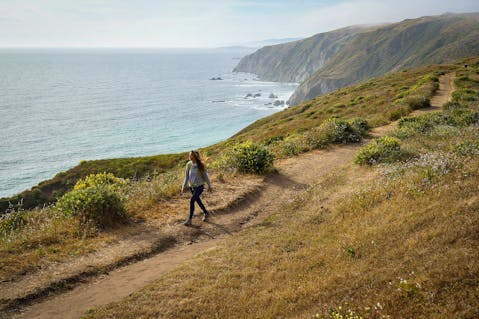 Hike Tomales Point Trail in Point Reyes 