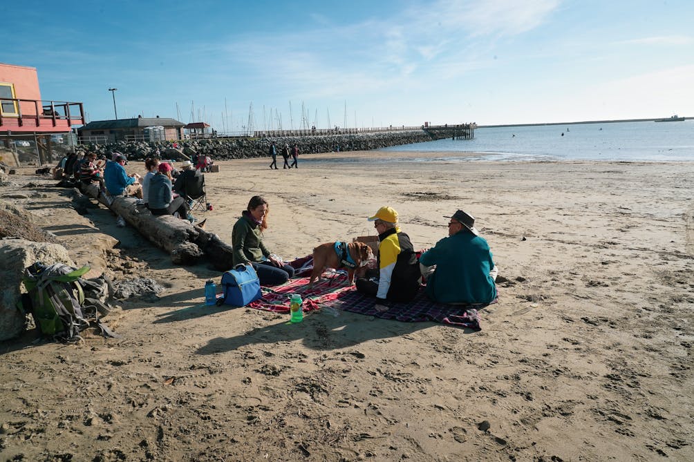 Three people and a dog sitting on a blanket at the beach in front of Barbar