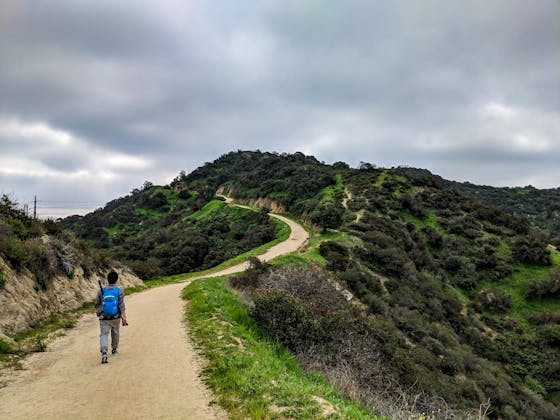Descanso Trail hike Los Angeles