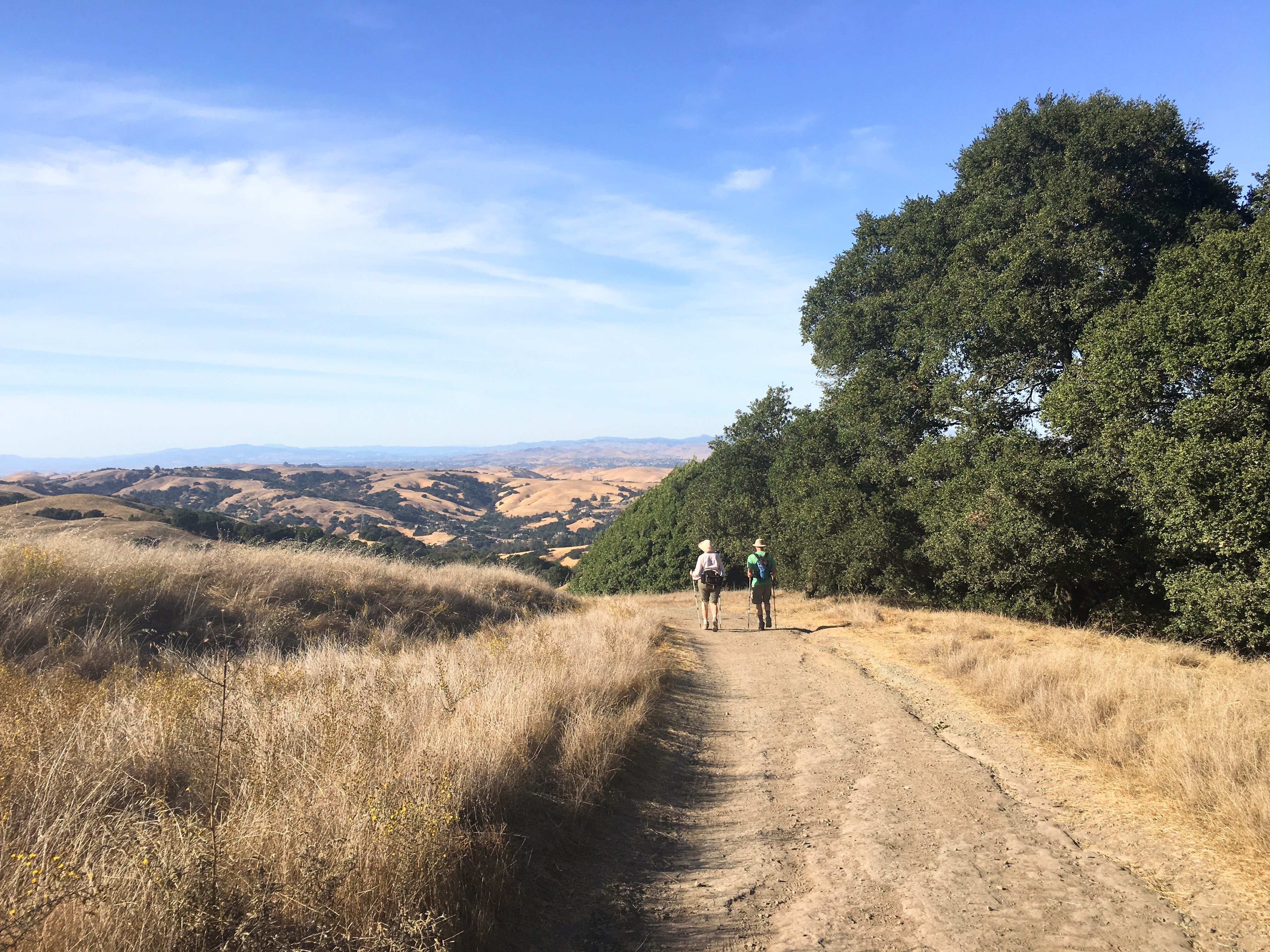 Hike the Mott Peak Loop at Briones Regional Park 