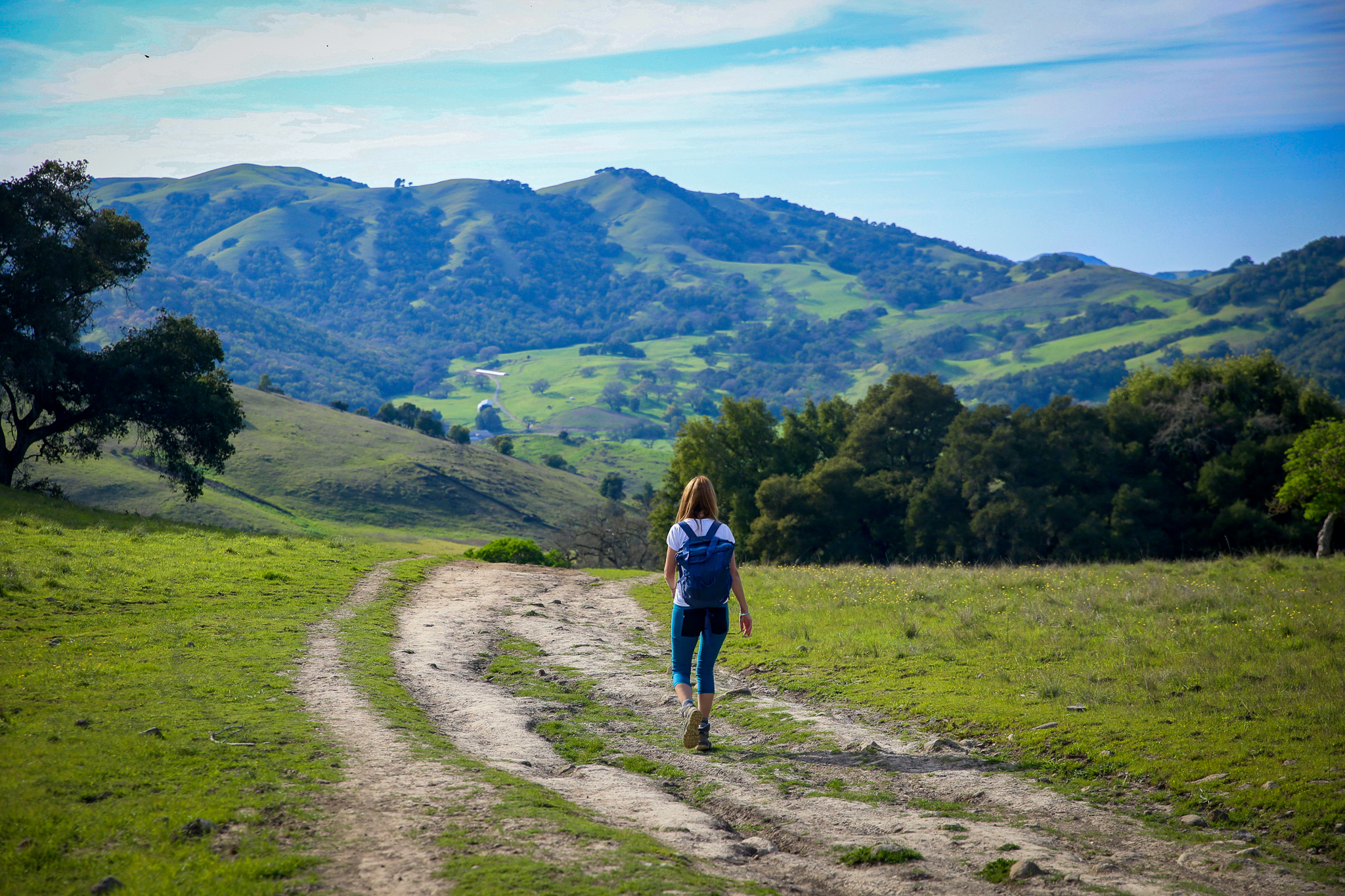 Mount Burdell Hike Marin