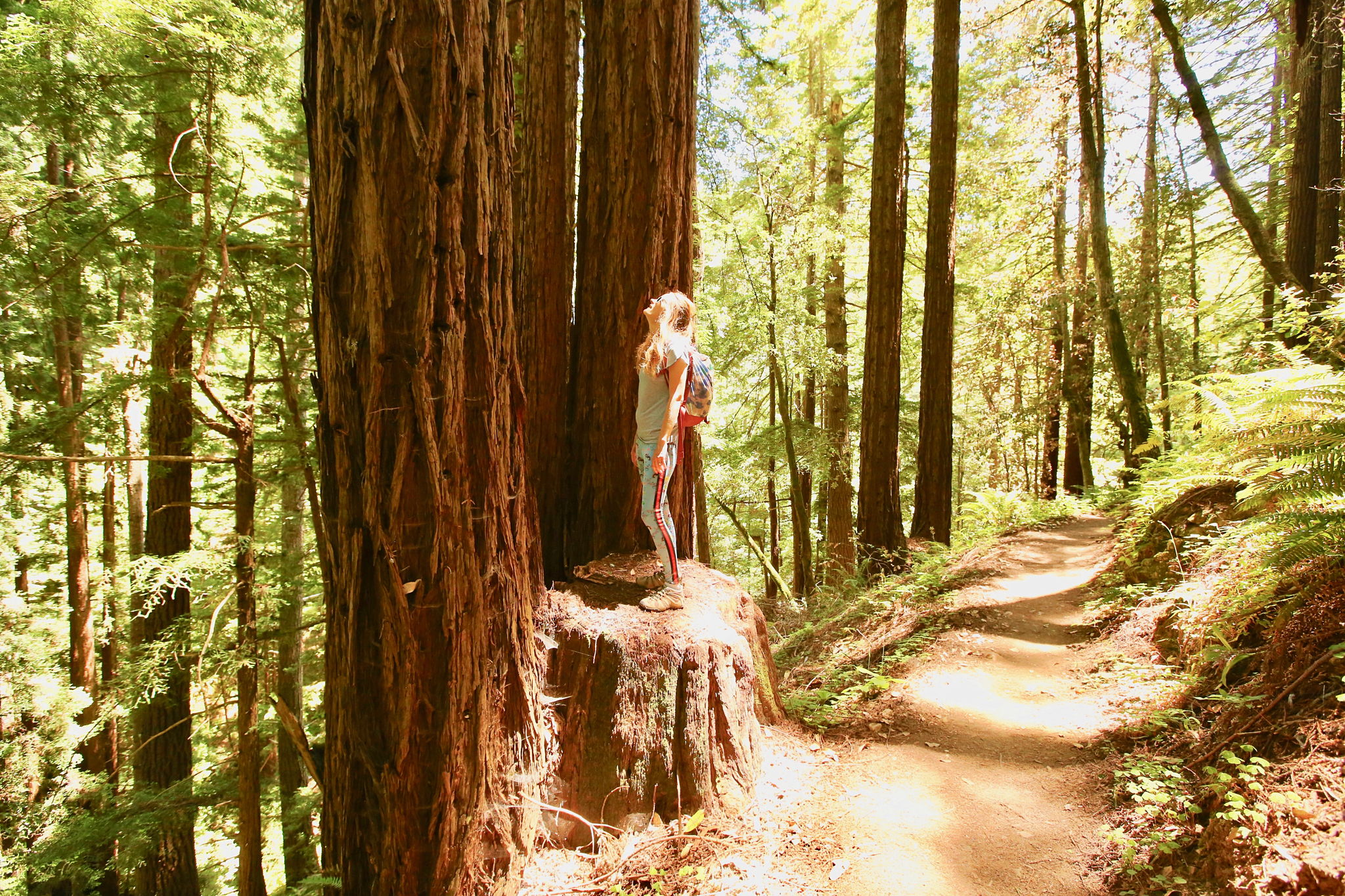 How to Support California Bay Area Wildfire Relief 