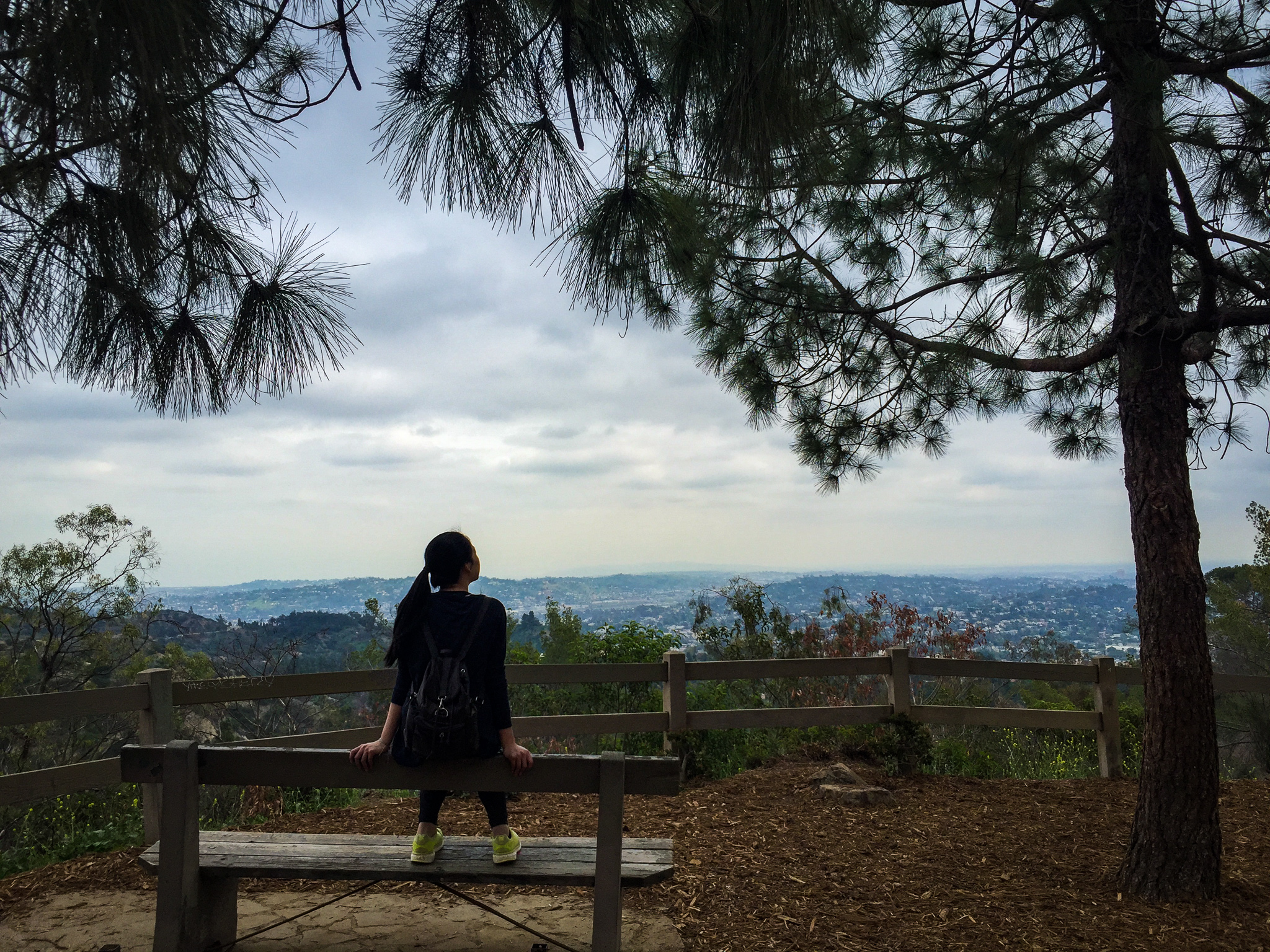 Griffith Park hike to Berlin Forest