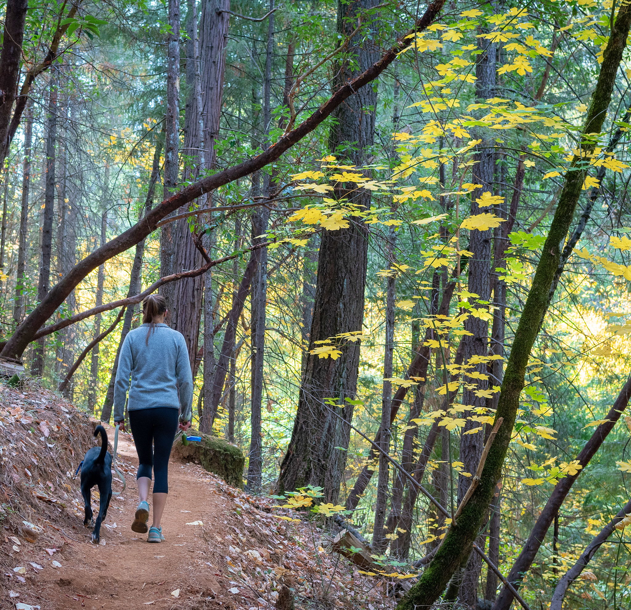 Full Suspension Ahead | Weekend Sherpa