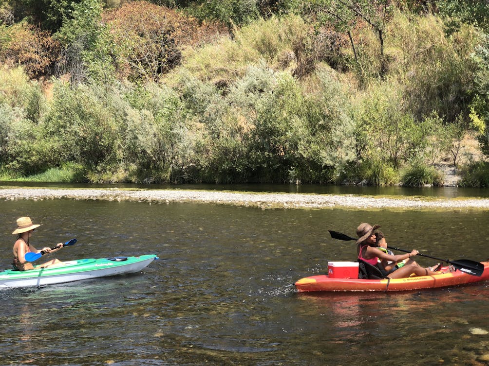 Kayakers paddling the Russian River near Healdsburg in Sonoma County 