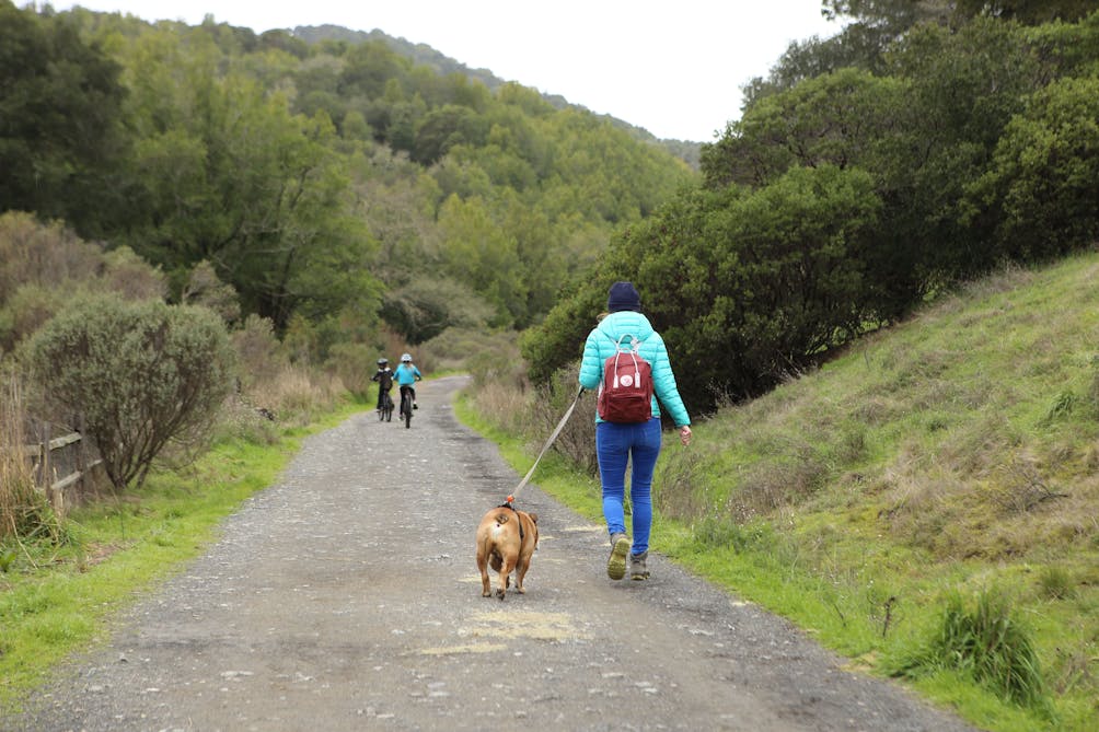 Indian Valley waterfall hike Novato