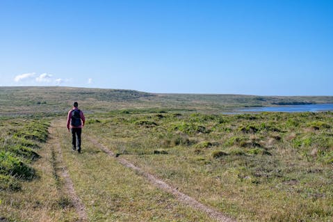 Hike Bull Point Trail in Point Reyes National Seashore 