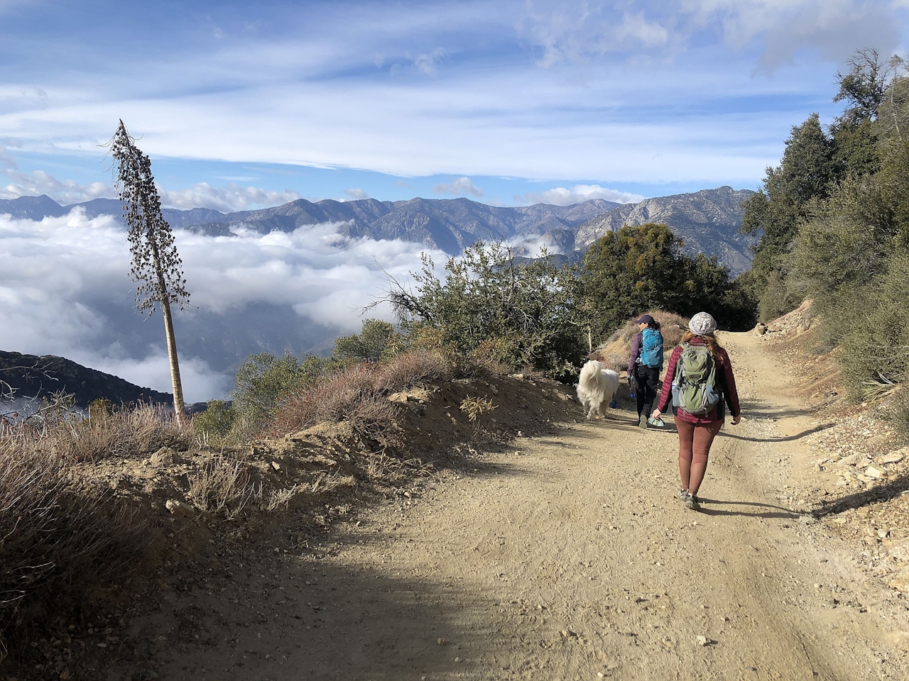 Hiker on fire road trail up to Sunset Peak in the San Gabriel Mountains