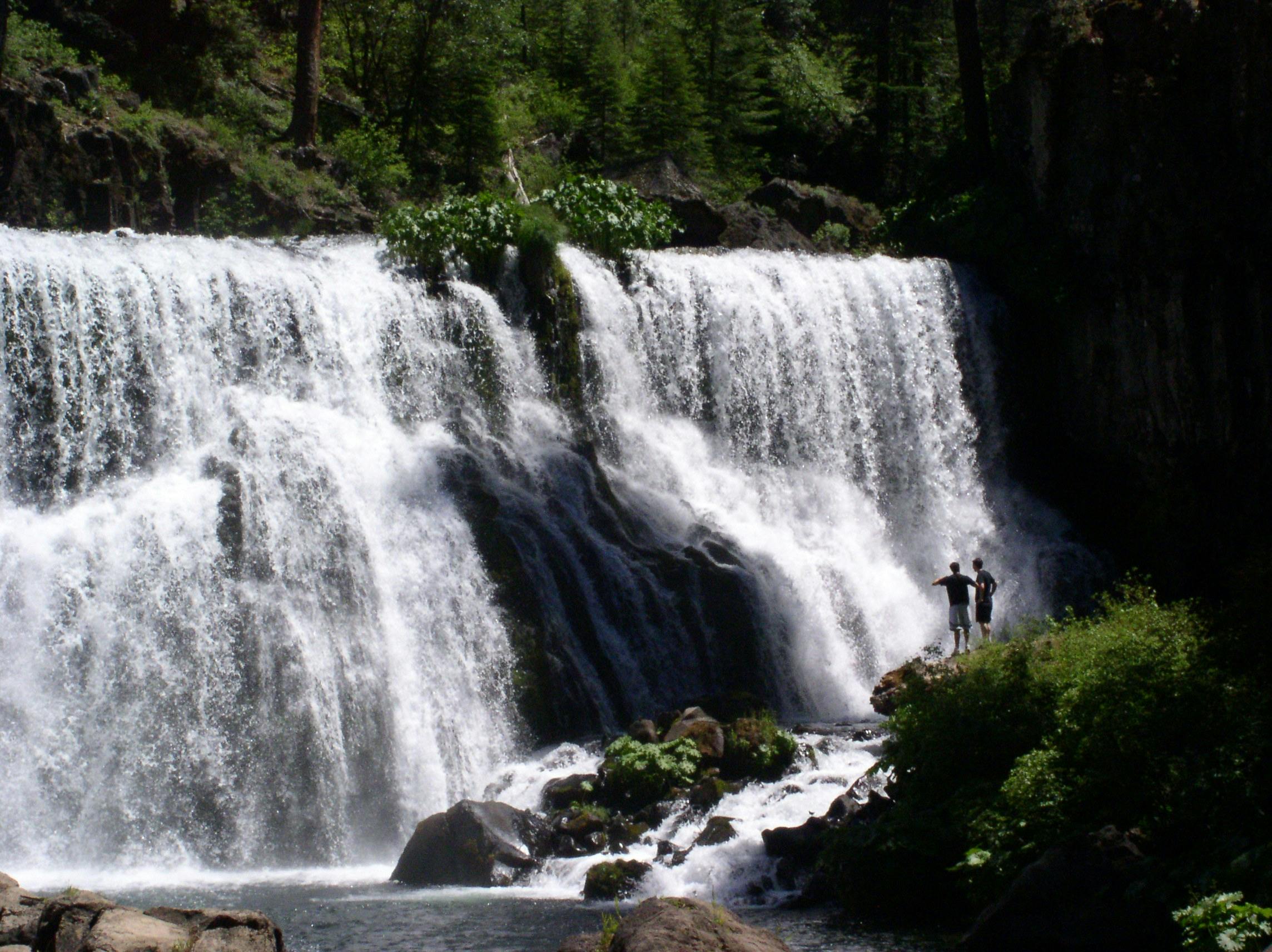 are dogs allowed in reddings waterfall loop