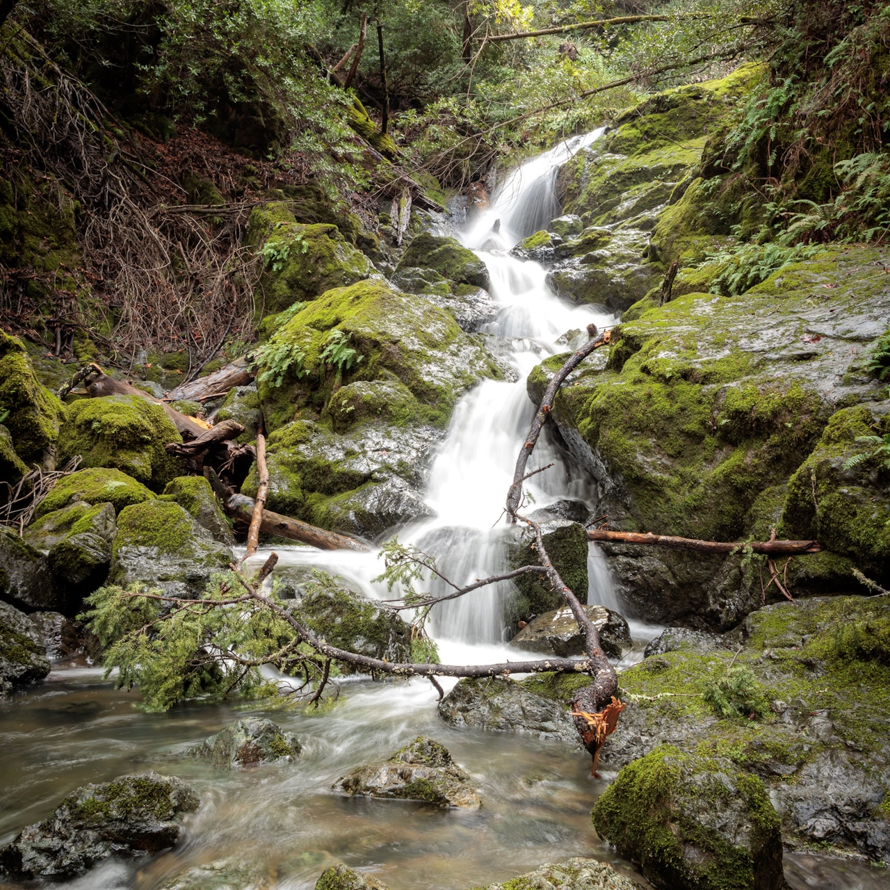 cataract falls in marin county