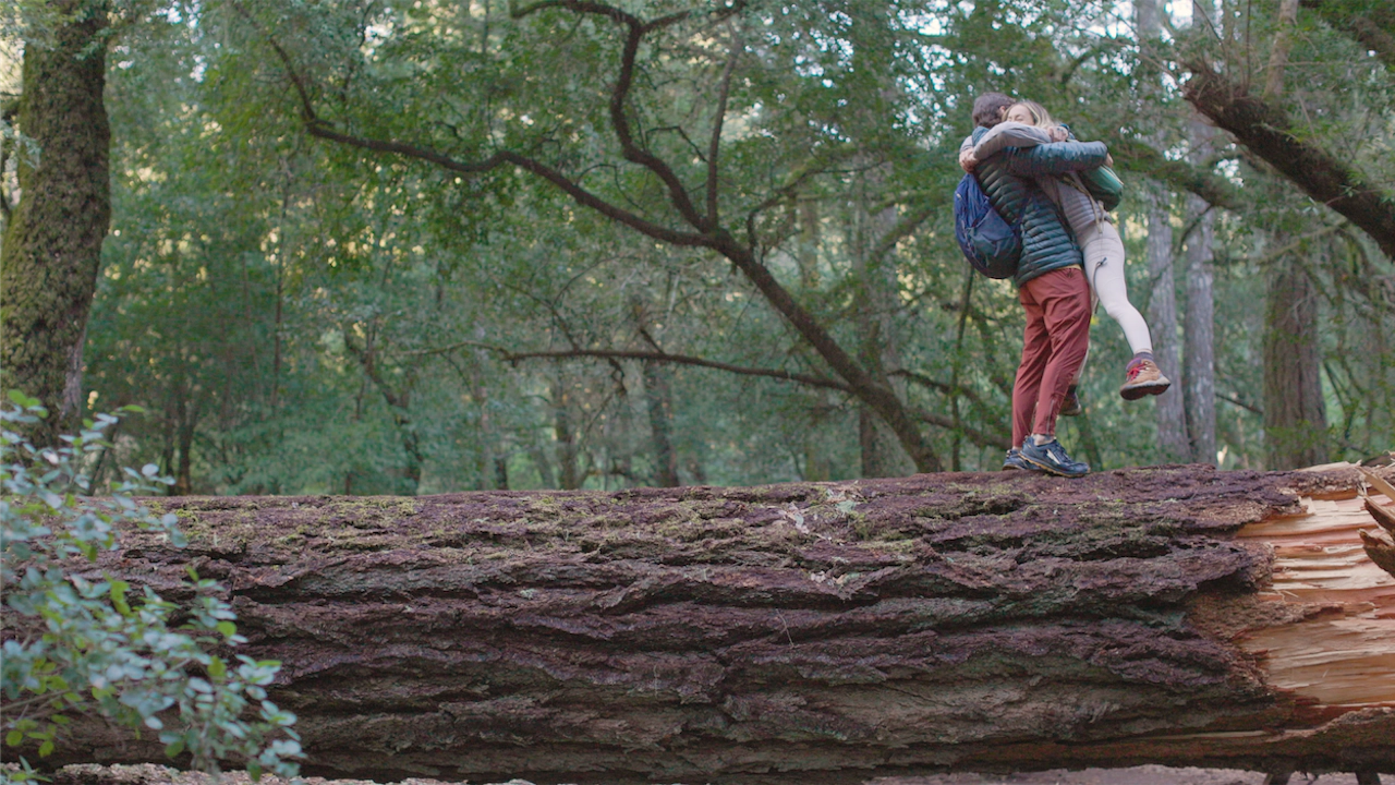 couple and redwood tree in marin county