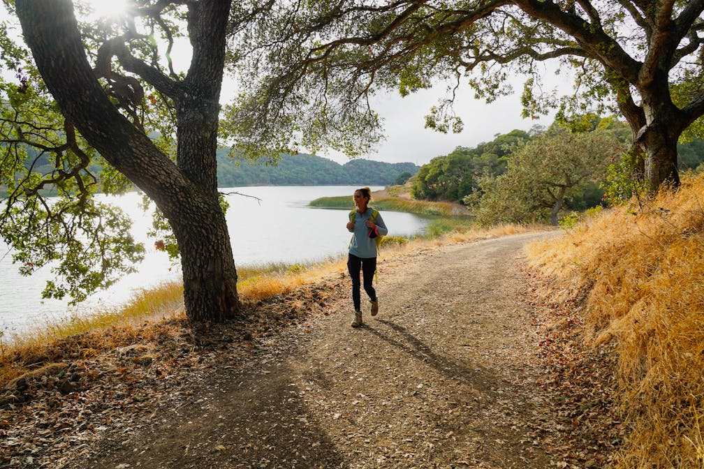 Hike the Oursan Trail alongside Briones Reservoir in the East Bay 