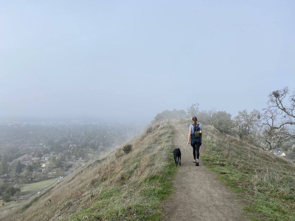 Woman hiking with her dog in the east bay at Shell Ridge Open Space