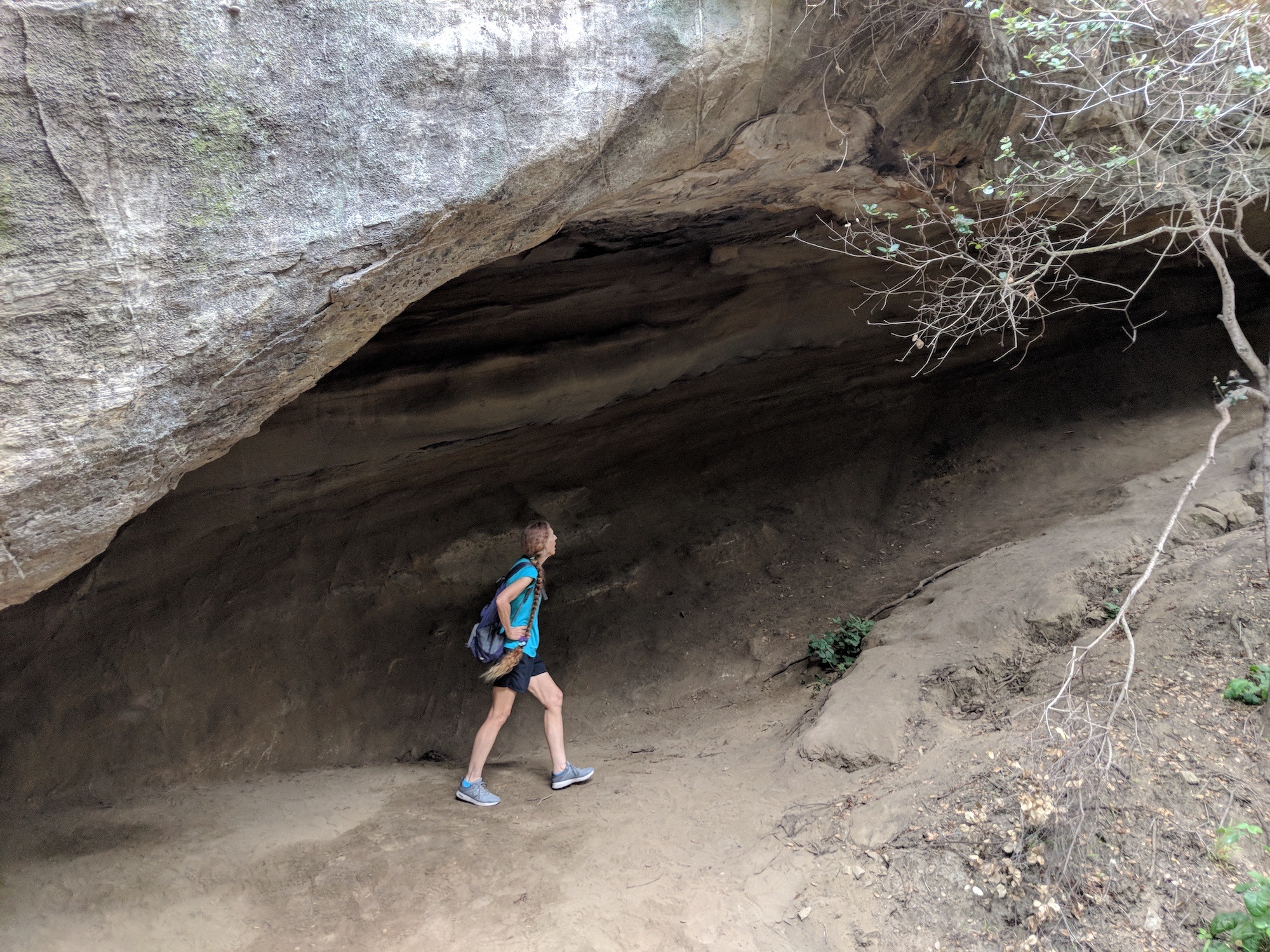 Dripping Cave Aliso and Wood Canyons Wilderness Park 