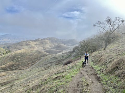 Woman hiking the trail at Shell Ridge Open Space near Walnut Creek in the East Bay 