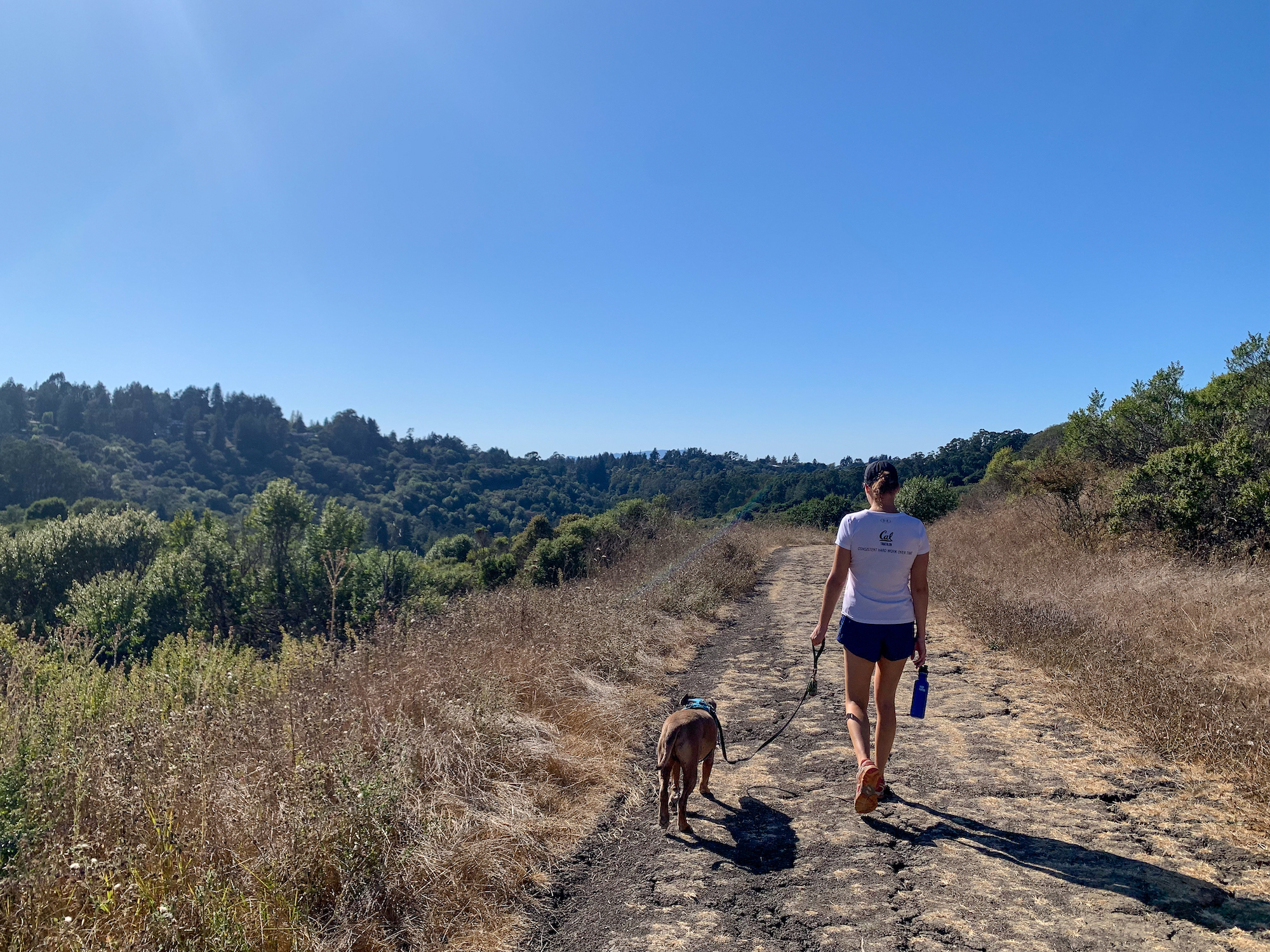 Berkeley hike Tilden Wildcat Gorge Trail